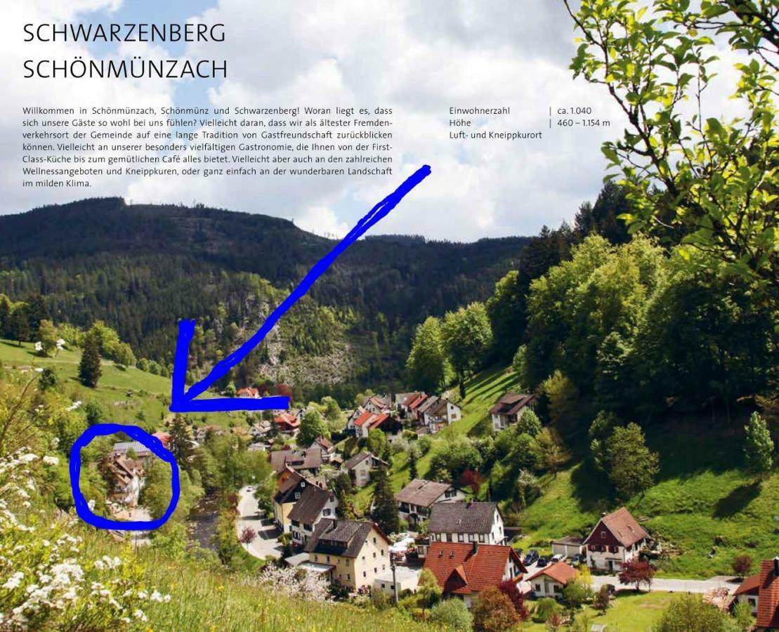 Adieu Alltag: Pension Oesterle Im Schwarzwald Schonmunzach Екстериор снимка