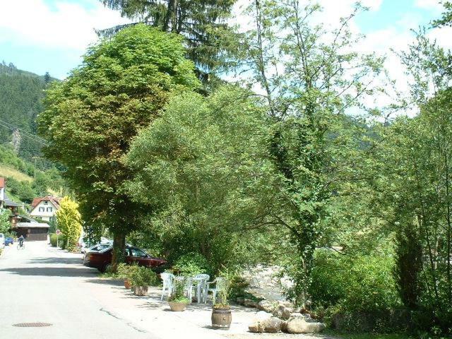 Adieu Alltag: Pension Oesterle Im Schwarzwald Schonmunzach Екстериор снимка