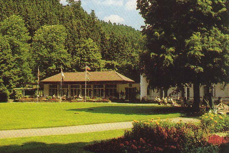 Adieu Alltag: Pension Oesterle Im Schwarzwald Schonmunzach Екстериор снимка