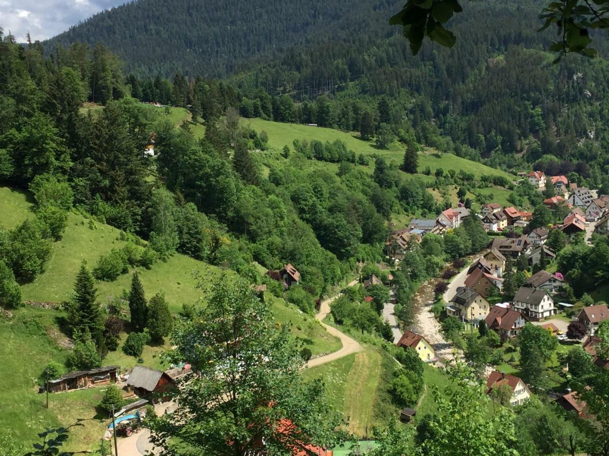 Adieu Alltag: Pension Oesterle Im Schwarzwald Schonmunzach Екстериор снимка
