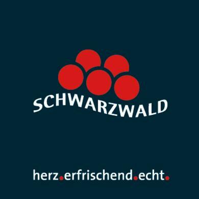 Adieu Alltag: Pension Oesterle Im Schwarzwald Schonmunzach Екстериор снимка